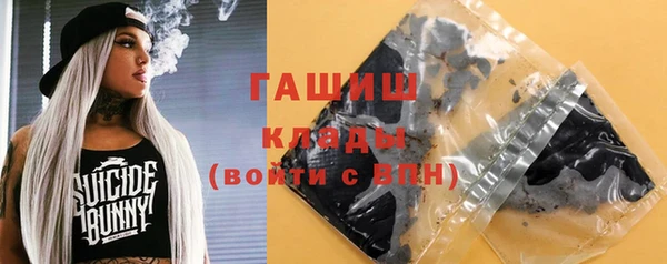 крисы Слюдянка