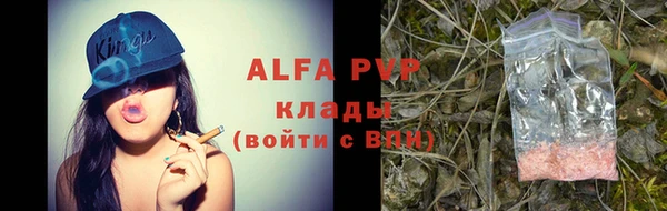 стаф Баксан