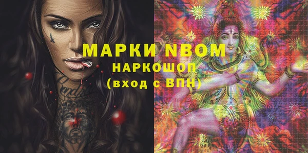 крисы Слюдянка