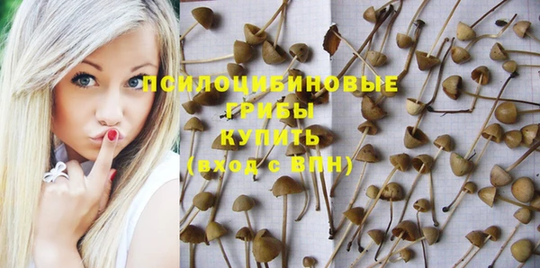 стаф Баксан